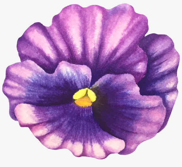 紫色花朵免抠