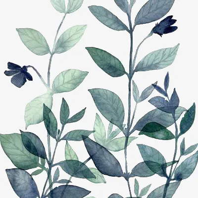 绿叶植物装饰元素免抠