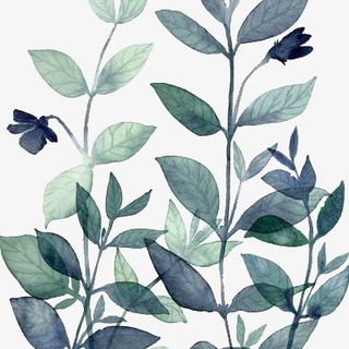 绿叶植物装饰元素免抠