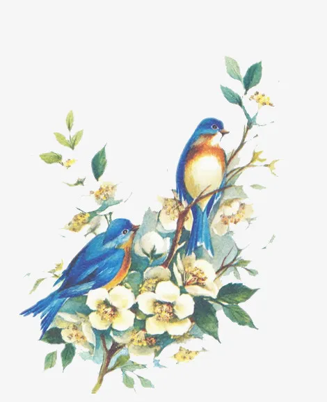 水彩画枝头鸟免抠