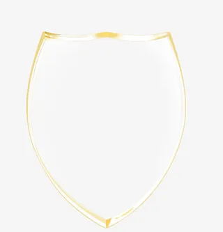 创意黄色质感盾牌形状免抠