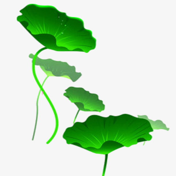 颜色荷花素材免抠