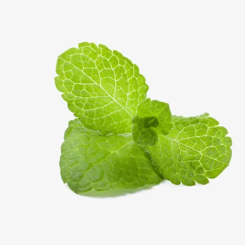 绿色蔬菜叶免抠