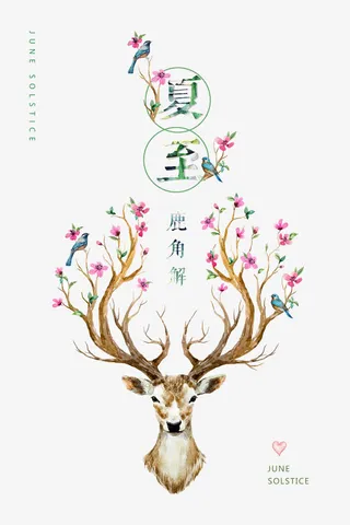夏至鹿角解免抠