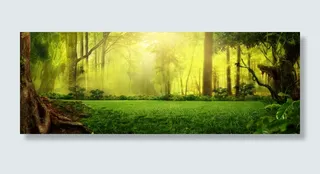 绿色梦幻森林淘宝背景高清