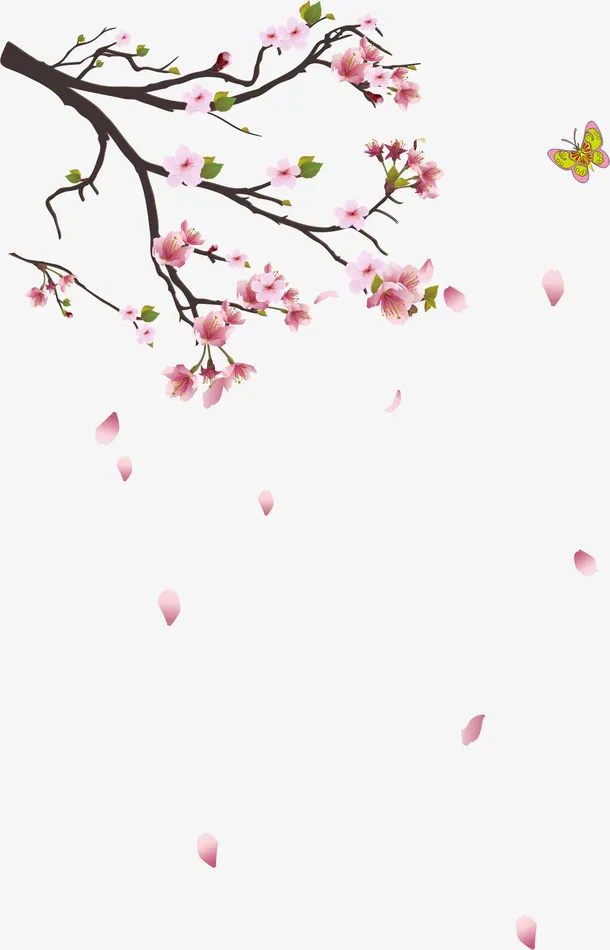 樱花树枝免抠