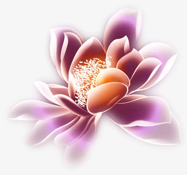 荷花免抠