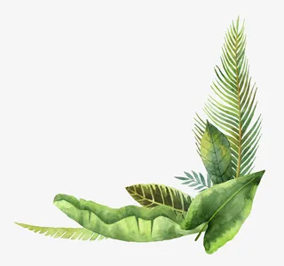 手绘绿色植物叶子边框免抠手绘/卡通卡通元素