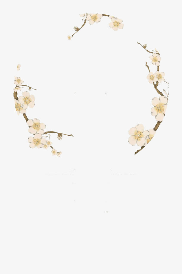 花边纹理免抠