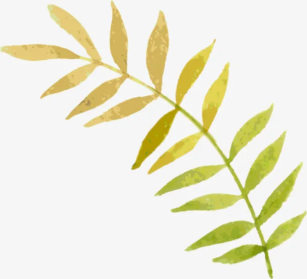手绘树枝免抠