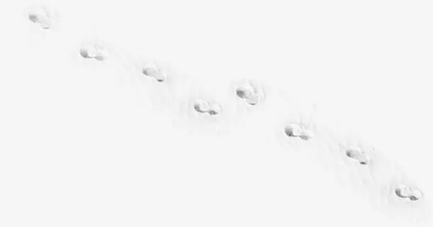 冬季雪地美景户外免抠