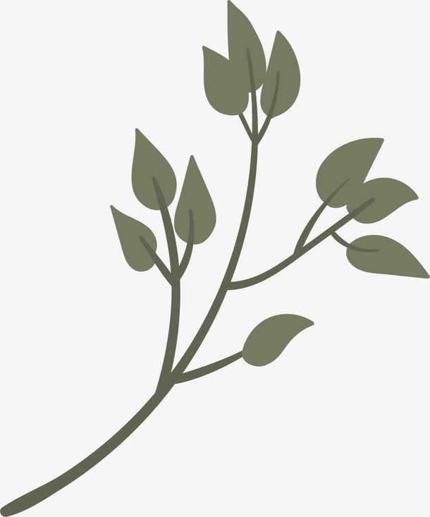手绘树枝免抠