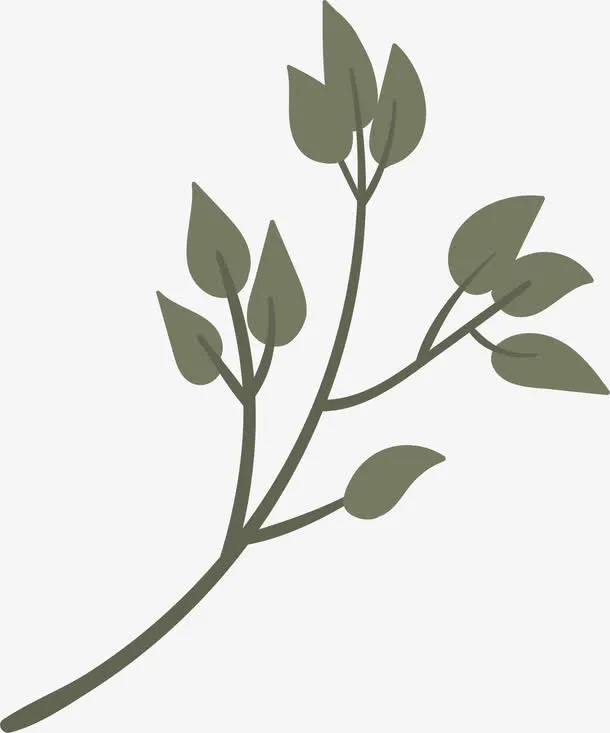 手绘树枝免抠