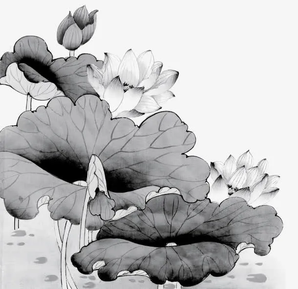 荷花国画免抠