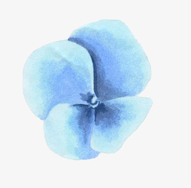 手绘花朵免抠