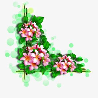 卡通手绘绿色植物边框免抠