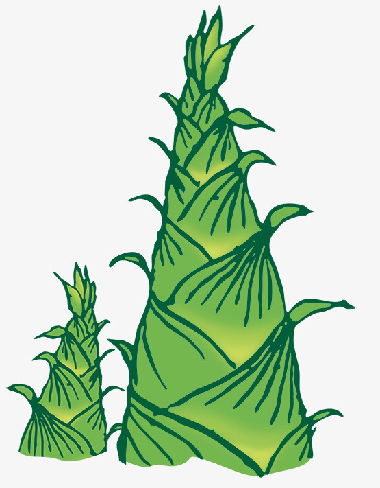 卡通手绘新鲜绿色脆竹笋免抠