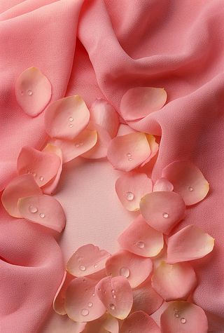 浪漫粉色花瓣轻纱背景高清
