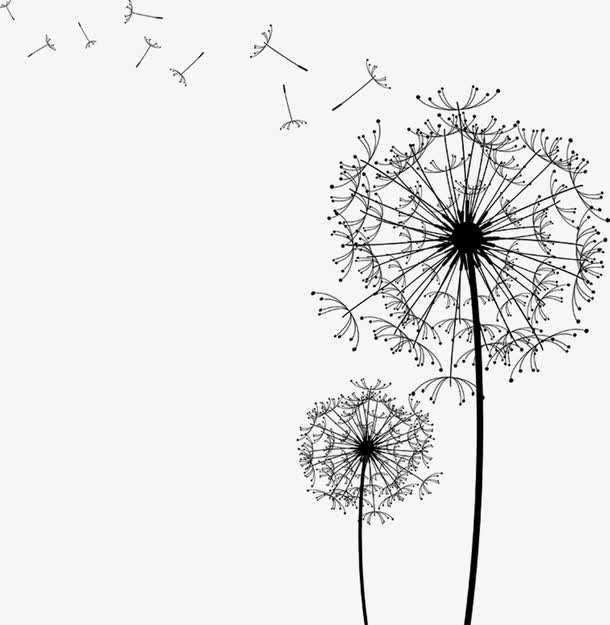 黑色漂浮蒲公英创意免抠