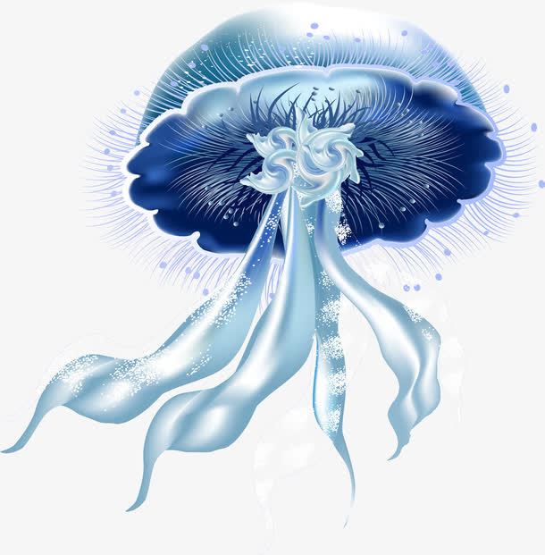 水母免抠