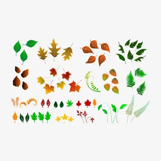 落叶叶子矢量图免抠