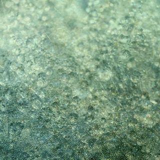 浪漫绿色怀旧背景