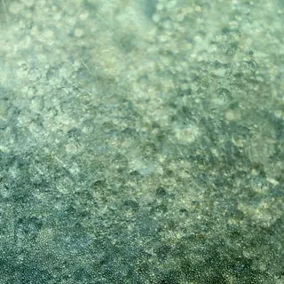 浪漫绿色怀旧背景