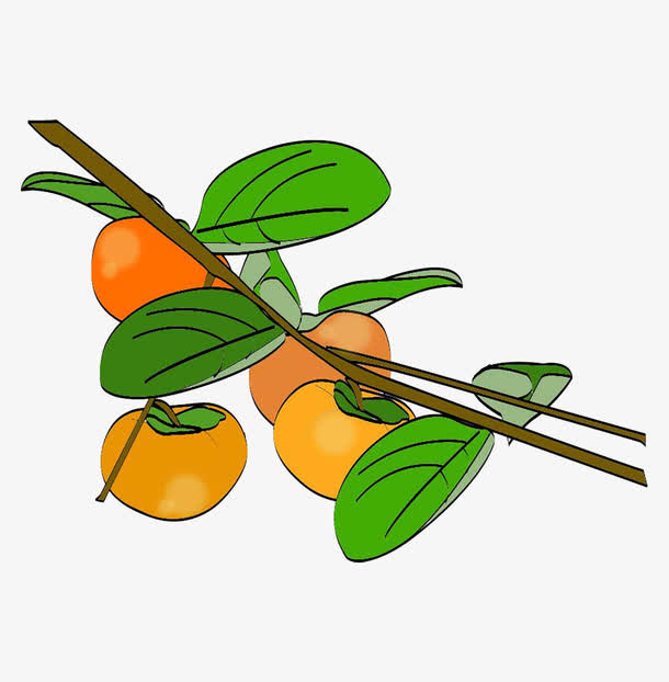卡通柿子免抠