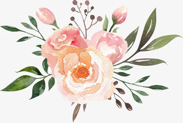花朵装饰素材图案免抠手绘/卡通手绘元素