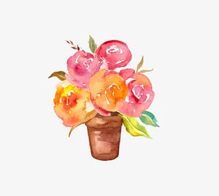 小清新插画广告设计卡通多肉盆栽免抠