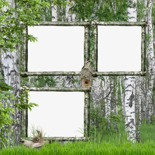 绿叶绿草墙壁边框免抠