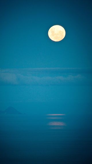 中期就H5背景高清