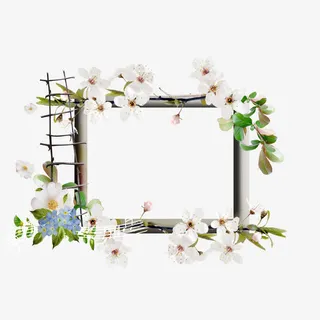 花朵装饰木框免抠