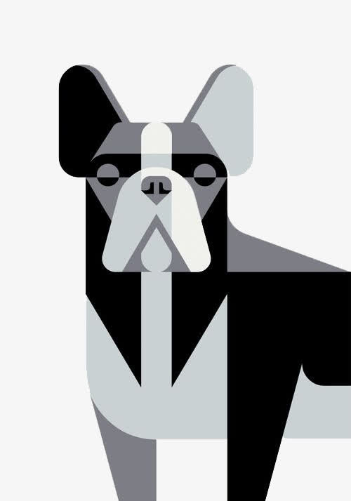 黑白灰斗牛犬免抠