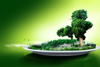 大气盘子深林绿色背景素材高清