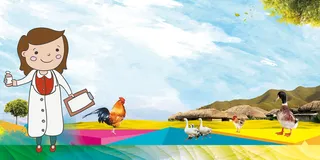 禽流感卫生背景模板高清