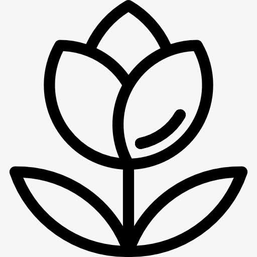 花图标免抠
