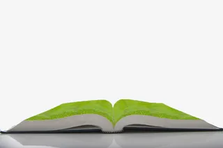 绿色摊开的书免抠