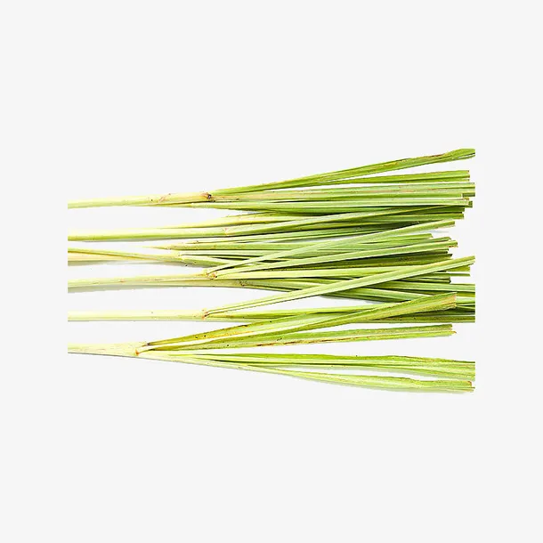 茅草，柠檬草免抠