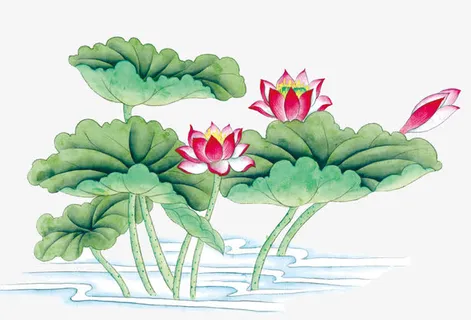 手绘的荷花免抠
