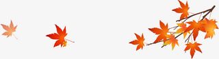 红色枫叶树枝中秋免抠