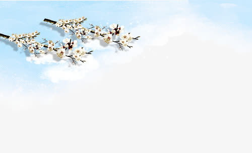 梅花免抠