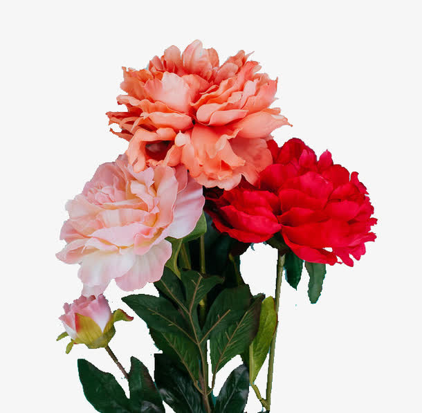 一束鲜花免抠
