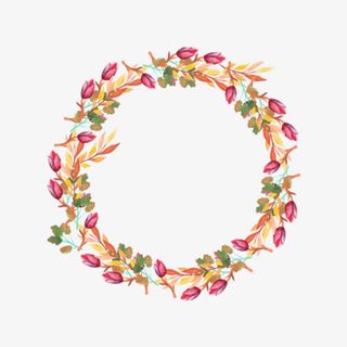 花卉花环免抠