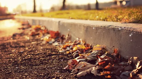 秋季落叶背景图