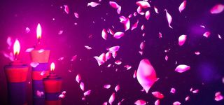 浪漫玫瑰花瓣喜庆蜡烛婚庆婚礼情人背景高清