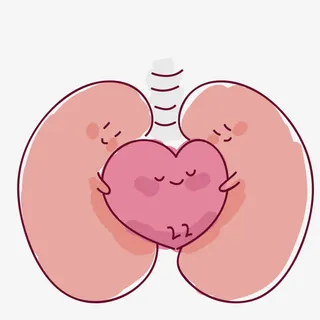 手绘矢量相亲相爱肺部心脏器官免抠
