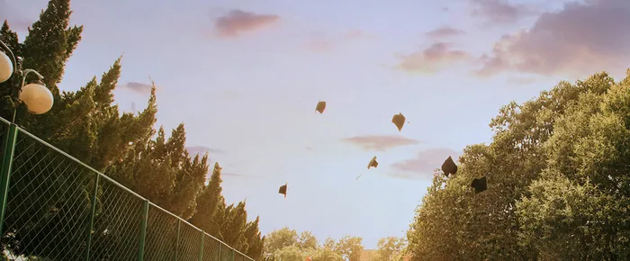 毕业季banner高清