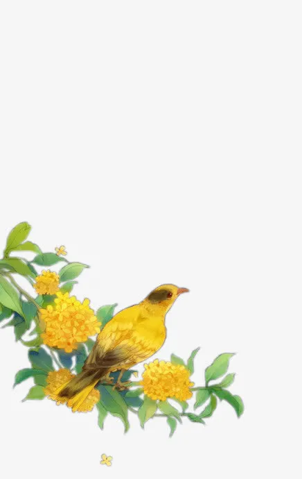 手绘花鸟免抠