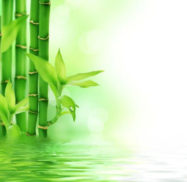 转运竹背景边框